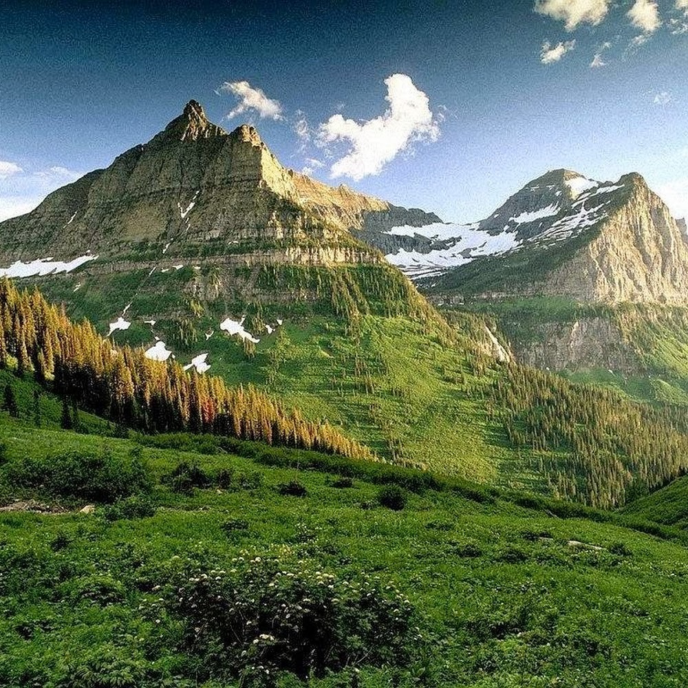 Meet your Posher, William